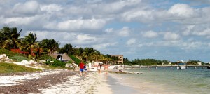 A great place to take walks