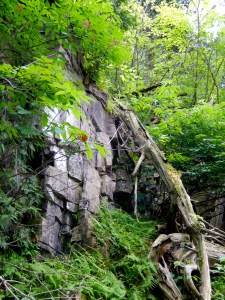 Beautiful Hike in Door County
