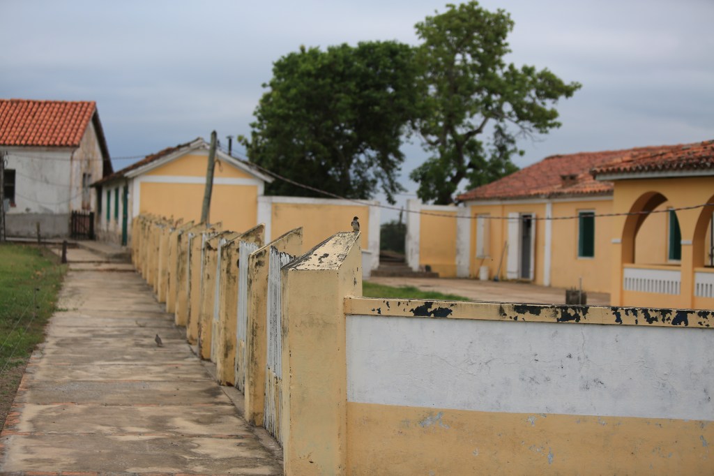Birds on the fence of the supposed tourist facility
