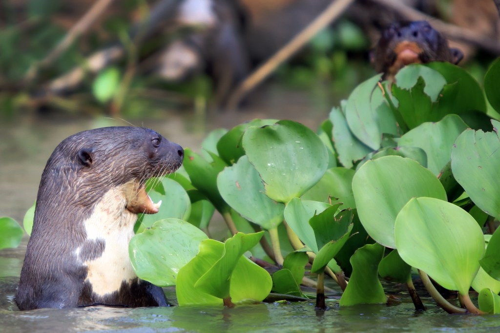 The look says it all!