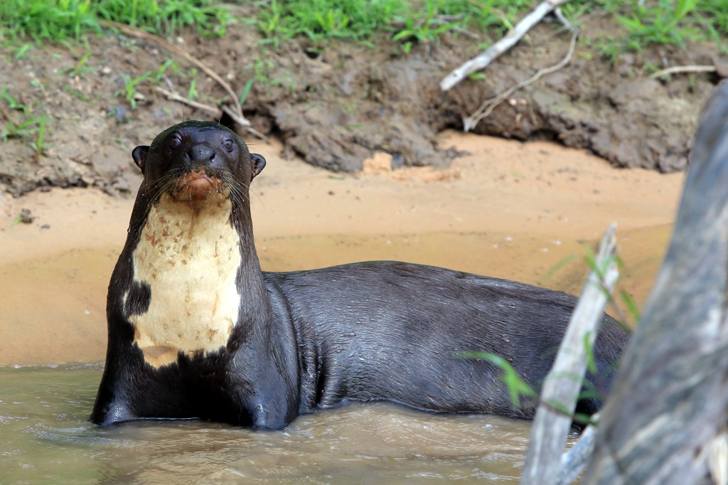 Hamming it up for the cameras