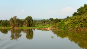 More Gorgeous Pantanal