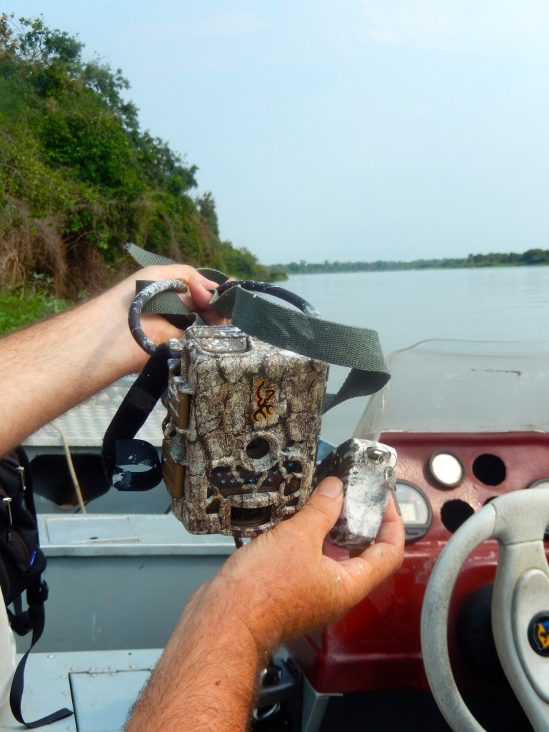 night camera caked in bird poop