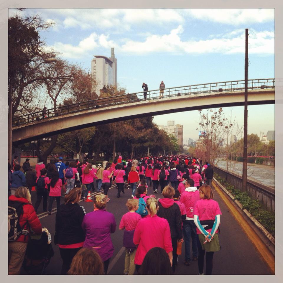 Walkers at Avon event- you can see the runners on the other side of the bridge