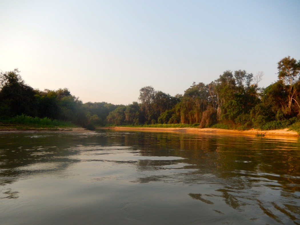 Pantanal Beauty very early int eh morning