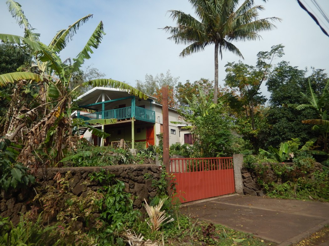 A typical house in town, surrounded by tropical plants such as the local banana tree