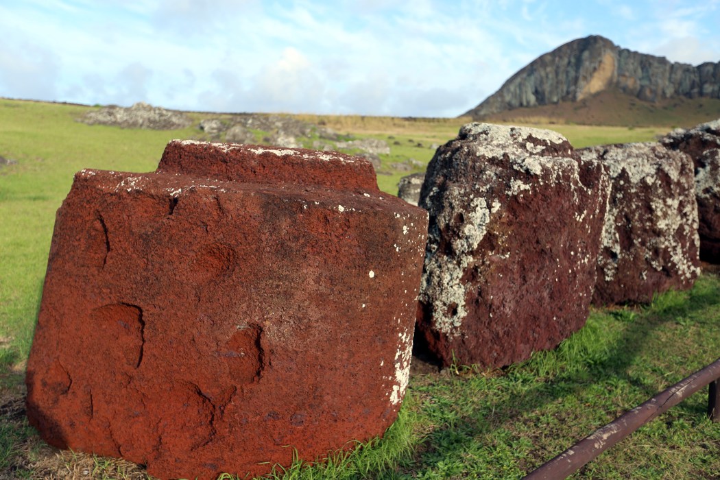 Top knots on the ground