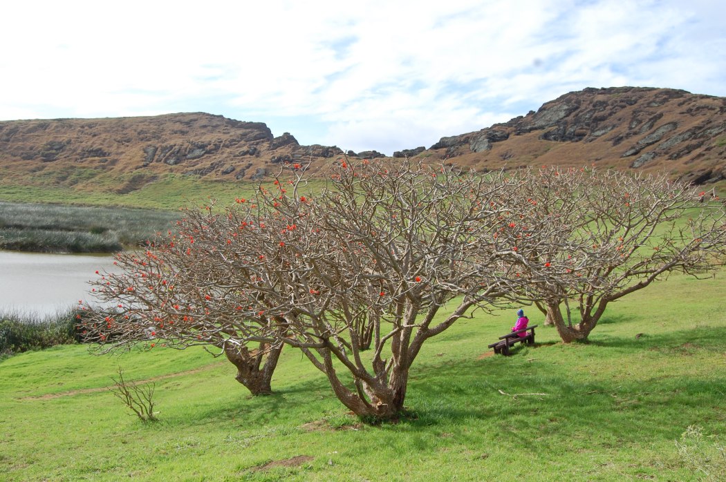 Eli resting and gazing at the volcanic crater