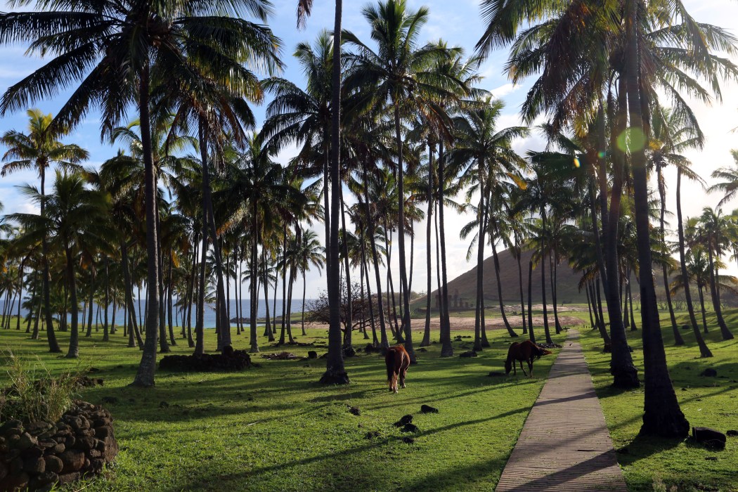 The entrance to Anakena Beach.  Although I had seen pictures of this place I was totally unprepared for the gorgeousness