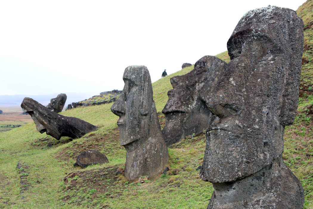 These moai are apparently buried halfway in the grass and some are falling over.  Fascinating!