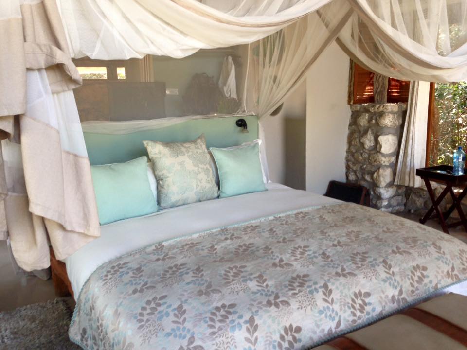 12509339_10153834599740883_7084214752392893773_n