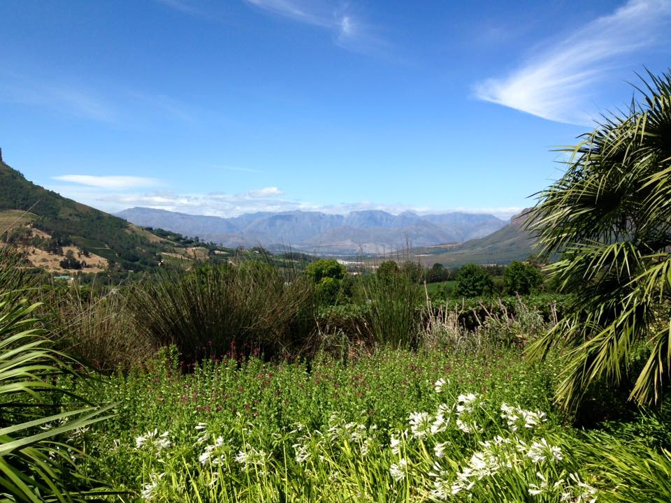 12524073_10153832679390883_8921576835915638660_n