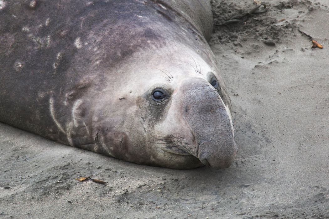 14372044_10157349802505161_4843063386754037078_o