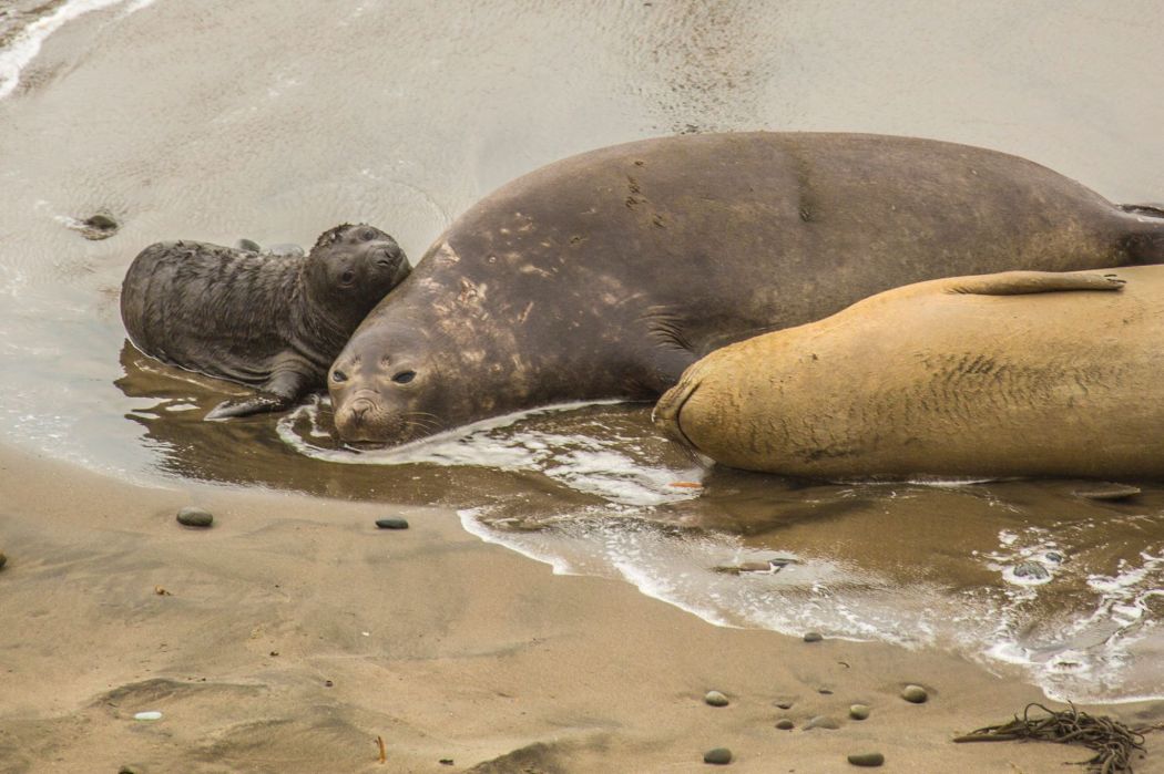 14434851_10157349802475161_8765767895811826502_o