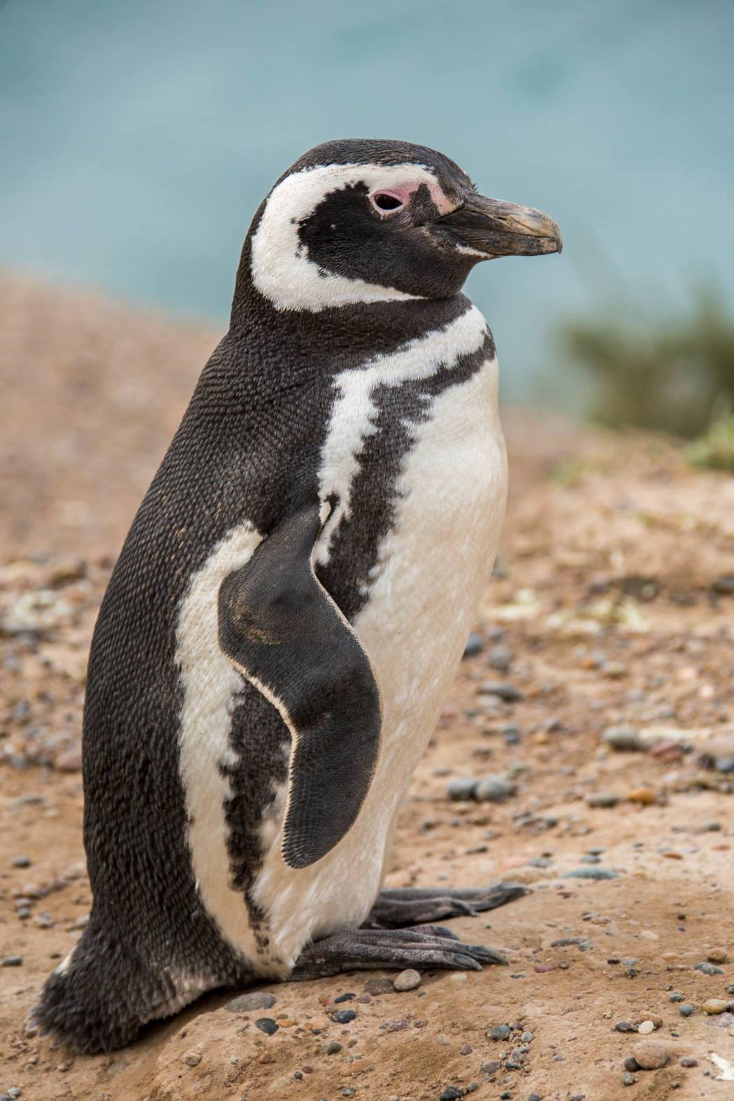 14468441_10157357399675161_3483361013392386214_o