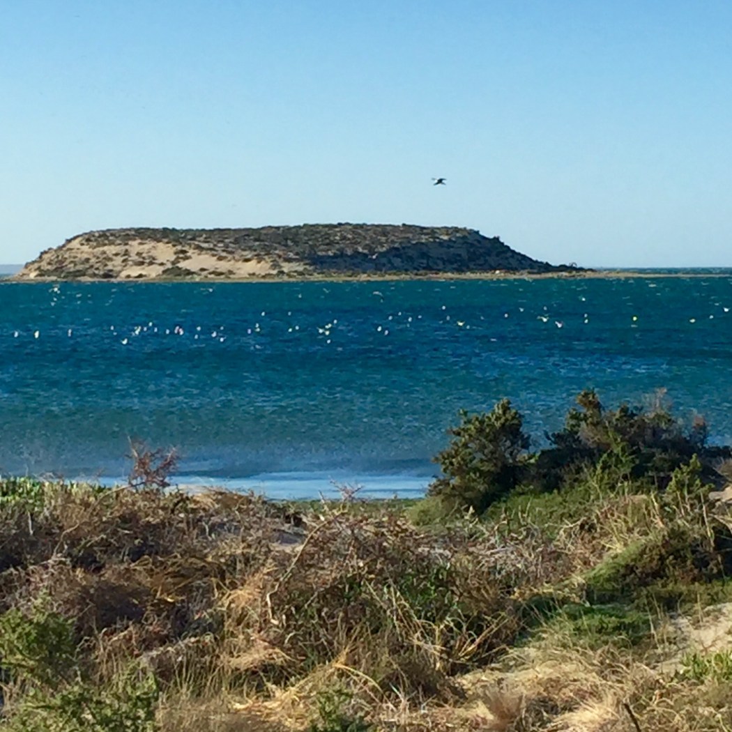 14468461_10154497022575883_8722412456200757959_o