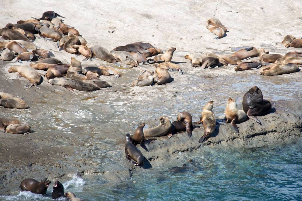 14500528_10157357330570161_2475293672394000171_o