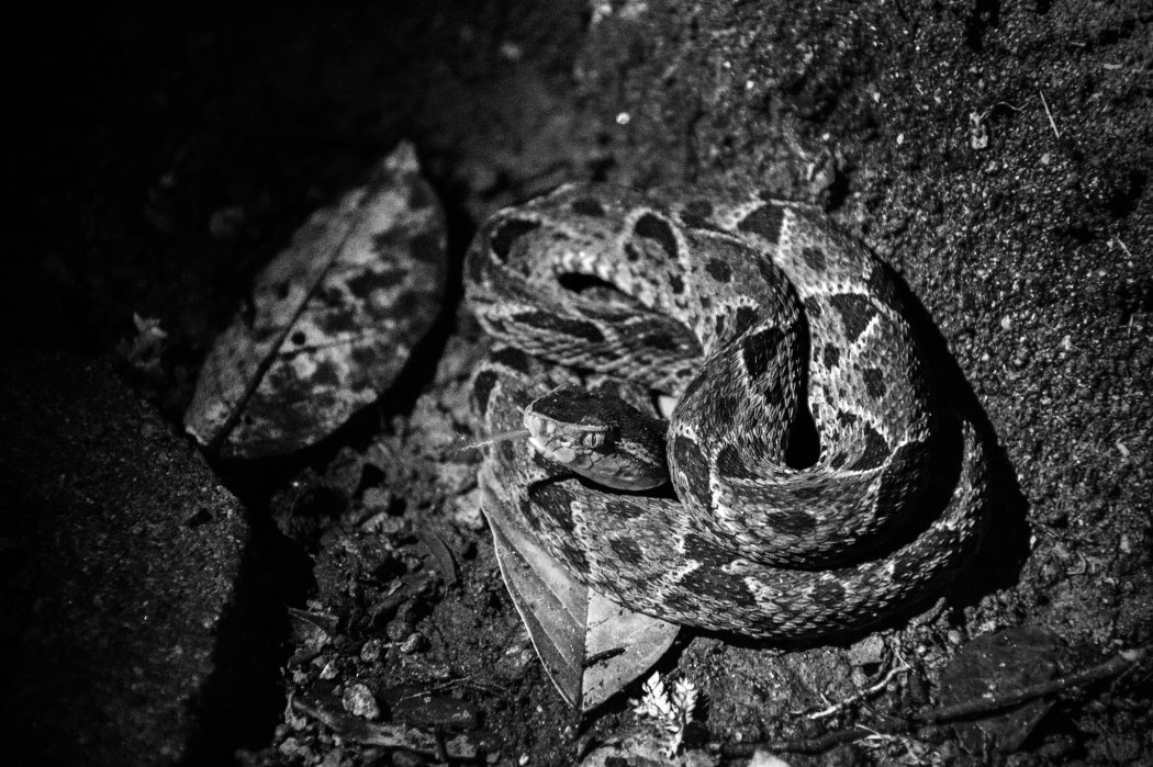 15800782_10157883321675161_3797392063838915013_o